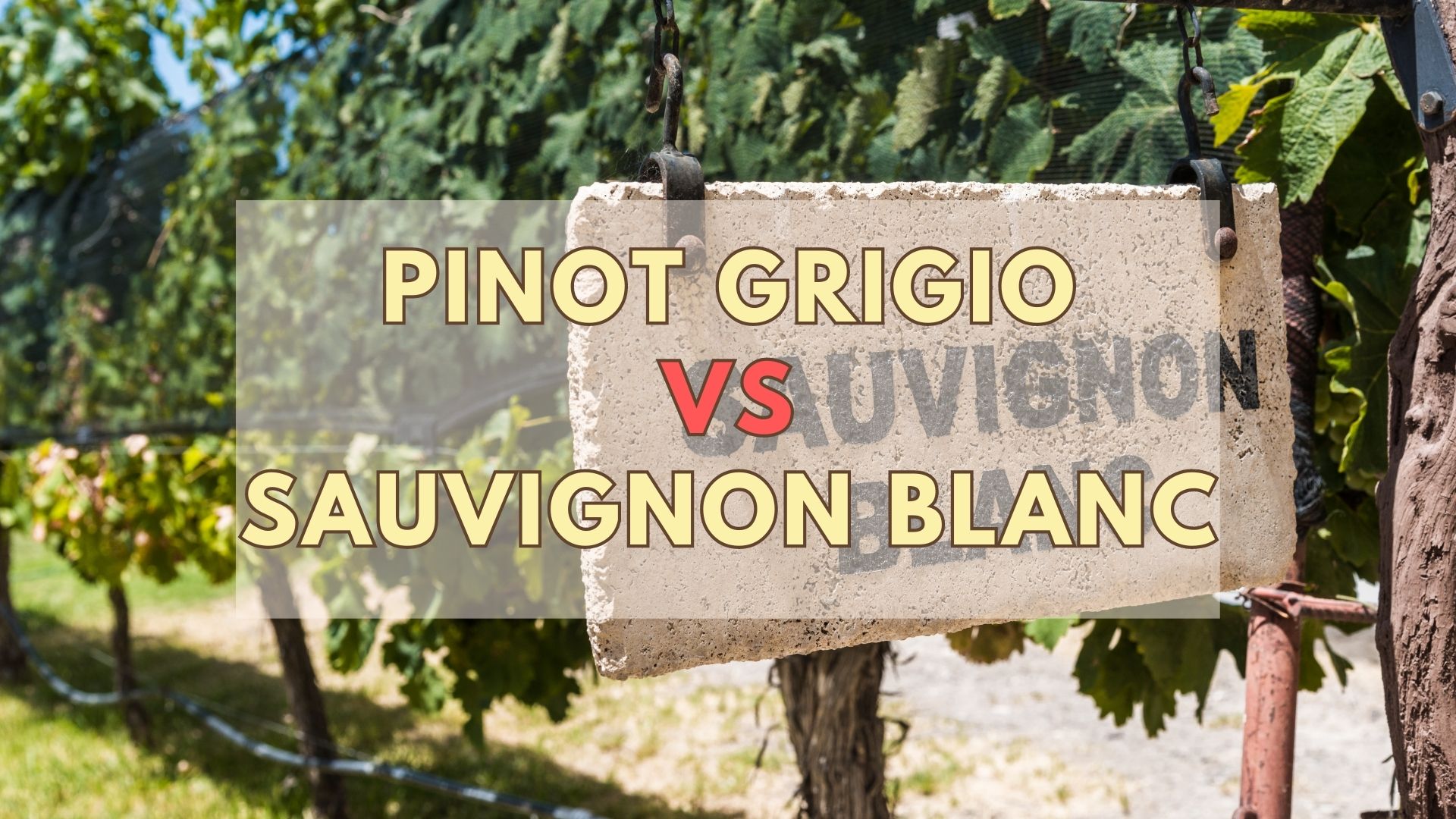 Pinot Grigio Vs Sauvignon Blanc