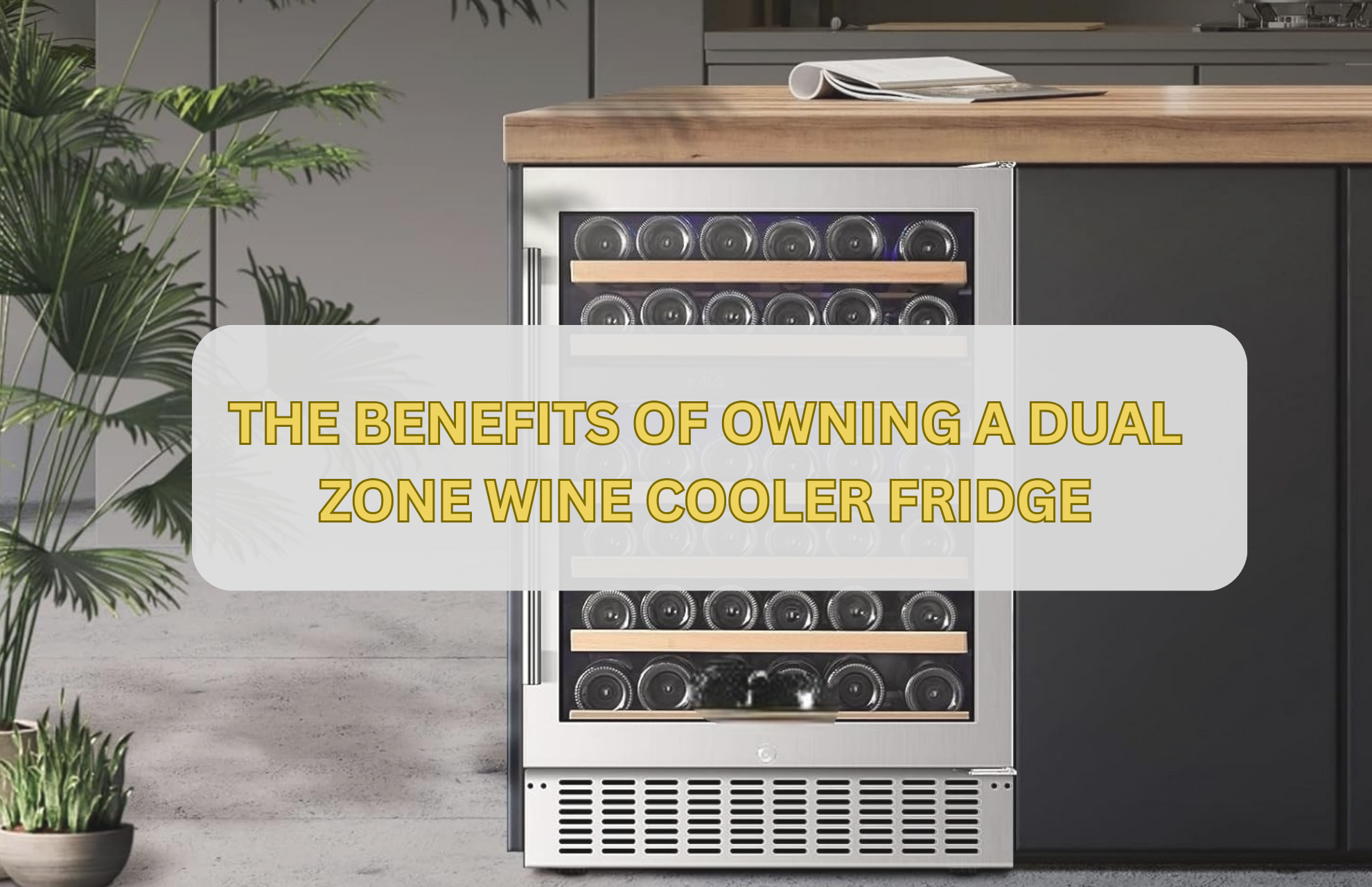 THE BENEFITS OF OWNING A DUAL ZONE WINE COOLER FRIDGE