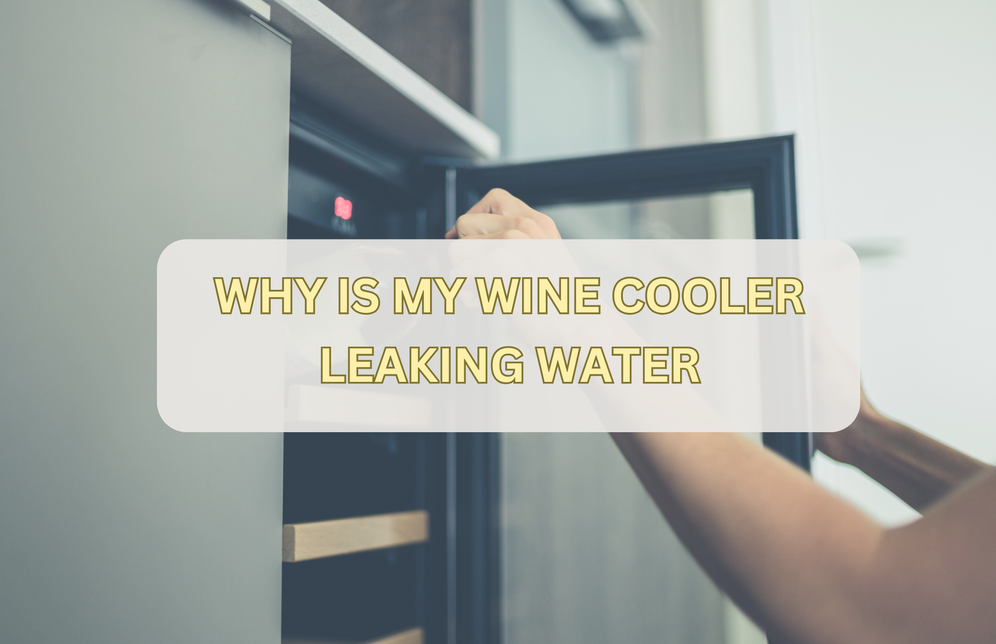 WHY IS MY WINE COOLER LEAKING WATER