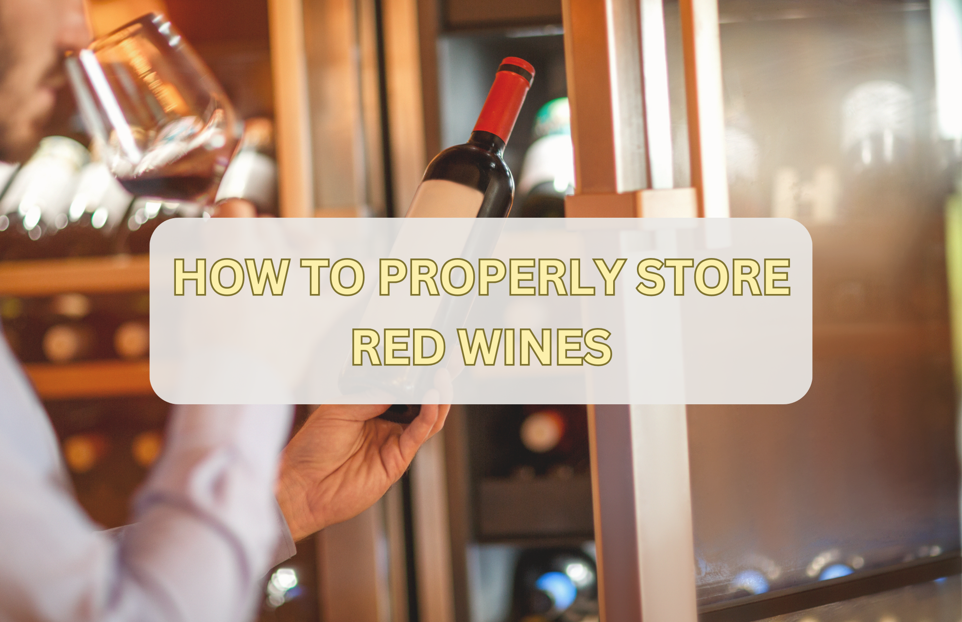 HOW TO PROPERLY STORE RED WINES