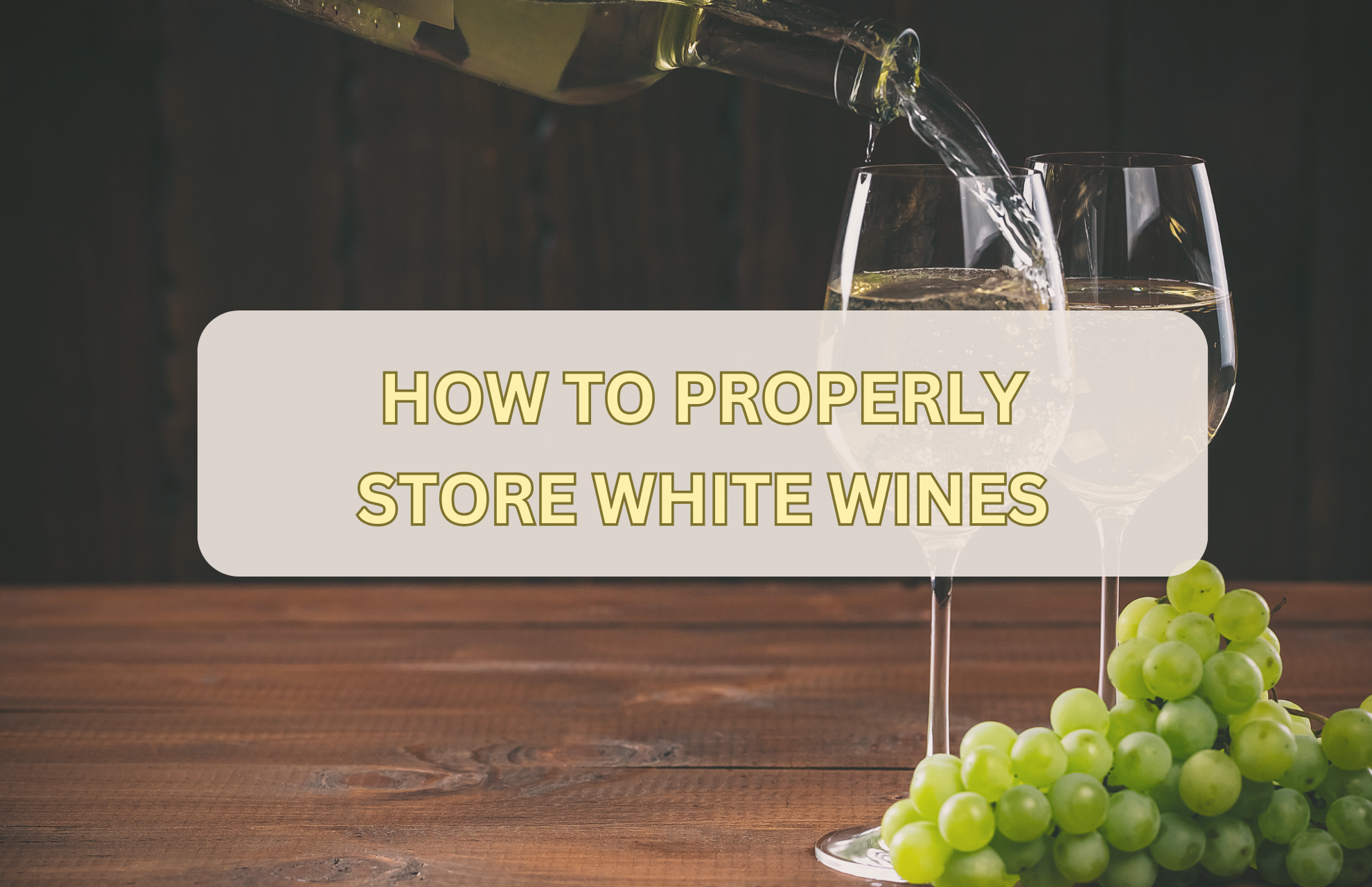 HOW TO PROPERLY STORE WHITE WINES